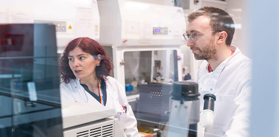 Life and Health Sciences feature image