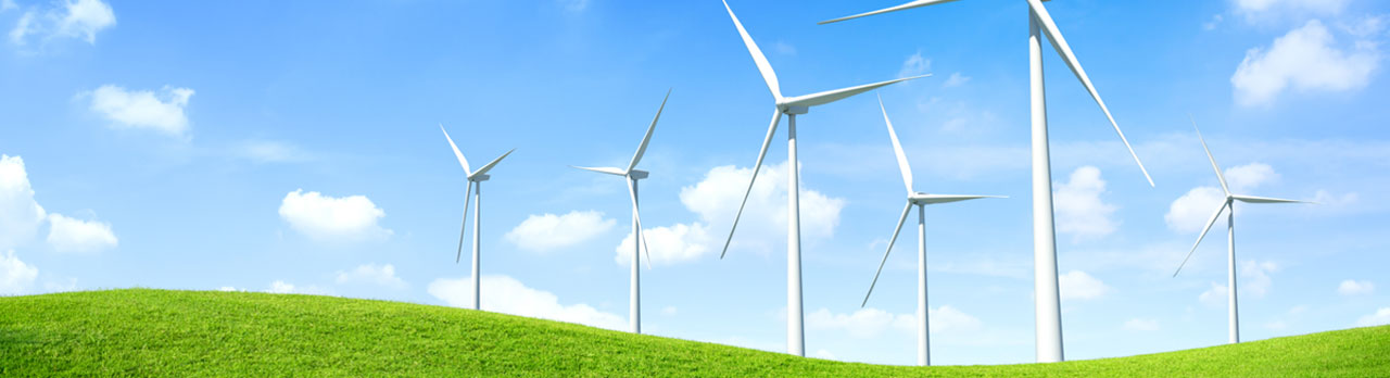 Image of wind turbines in a field