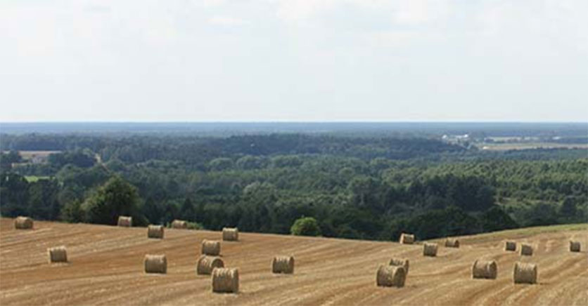 agri-food-quest-836x436.jpg