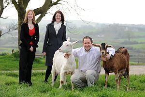 17063-leggygowan-farm--web.jpg