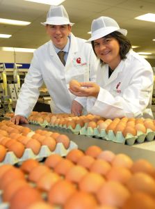 17445-farmlay-eggs--web.jpg