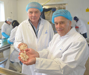 17593-kilhorne-bay-seafoods.jpg