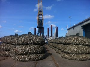 18167-ridgeway-renewables--web.jpg