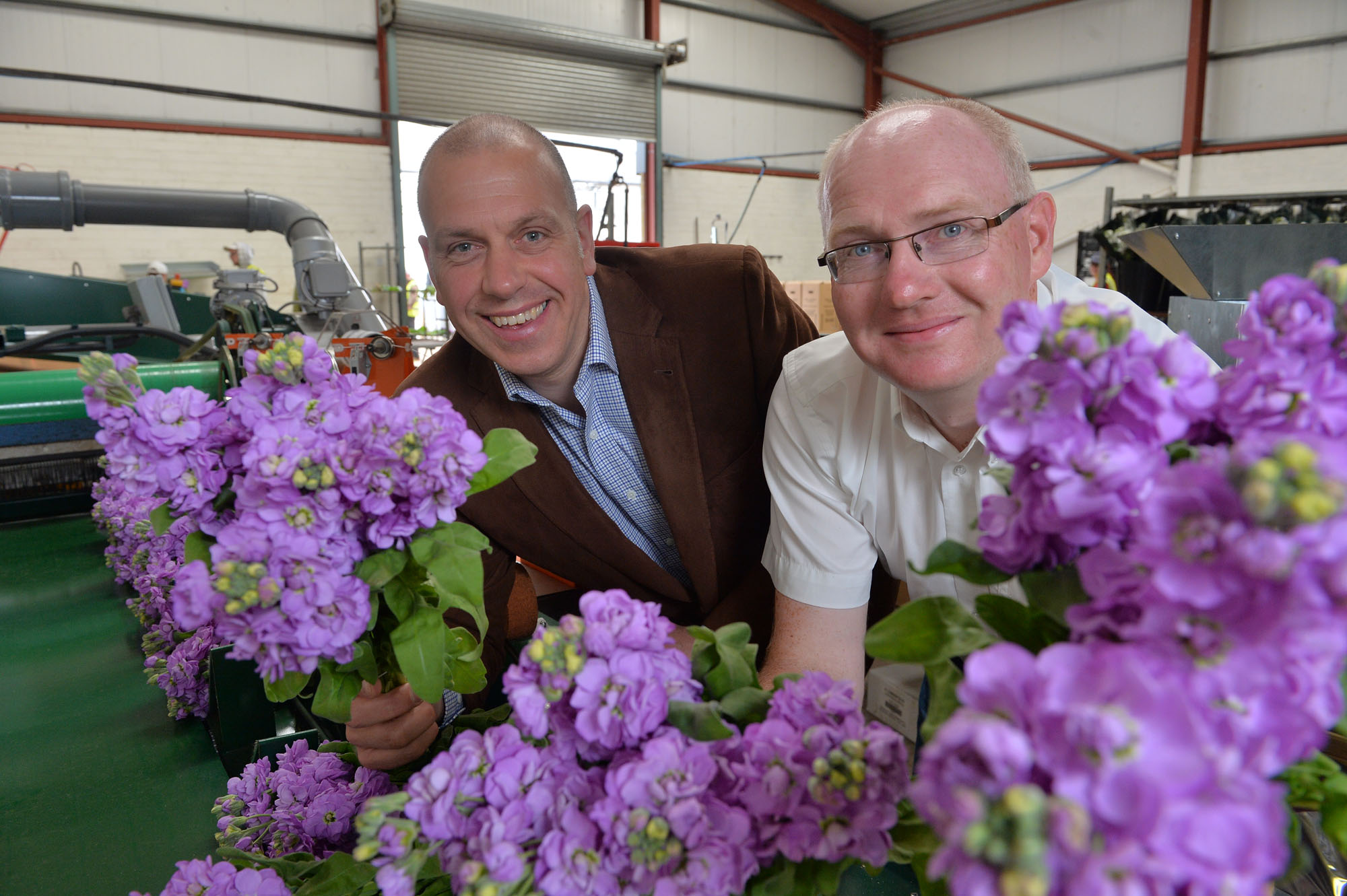 greenisland-flowers.jpg