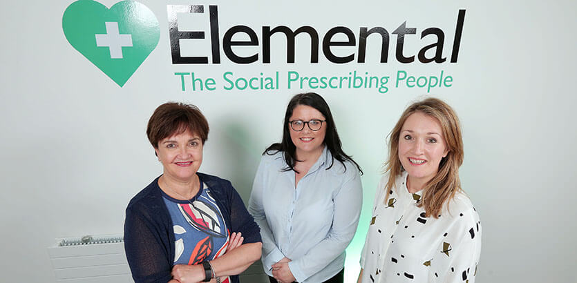 elemental-software-30-08-2017web.jpg