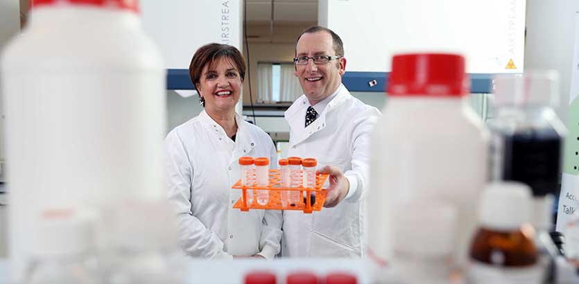 Fusion Antibodies