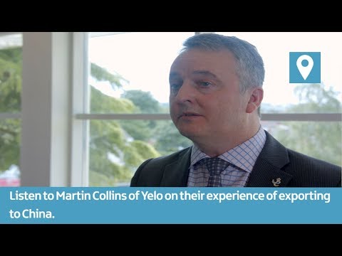 Preview image for the video "Yelo | Martin Collins | Spotlight on China".