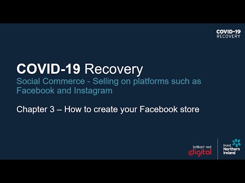 Preview image for the video "COVID-19 Recovery: Practical Export Skills - Selling on Platforms such as Facebook and Instagram (2)".