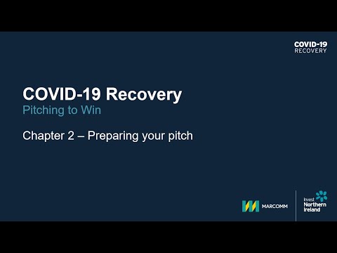 Preview image for the video "COVID-19 Recovery Practical Export Skills: Pitching to Win (2)".
