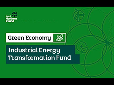 Preview image for the video "Invest NI  Energy Transformation event |  Chapter 5 |  Prof David Rooney".