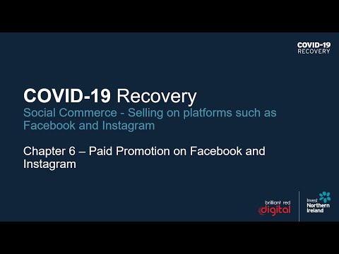 Preview image for the video "COVID-19 Recovery: Practical Export Skills - Selling on Platforms such as Facebook and Instagram (6)".