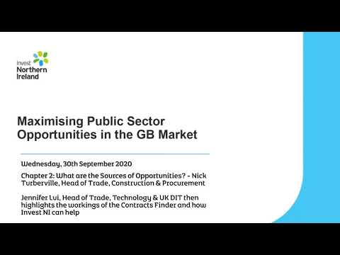 Preview image for the video "Maximising Public Sector Opportunities in the GB Market webinar -  Chapter 3".