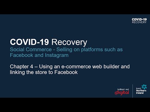 Preview image for the video "COVID-19 Recovery: Practical Export Skills - Selling on Platforms such as Facebook and Instagram (4)".