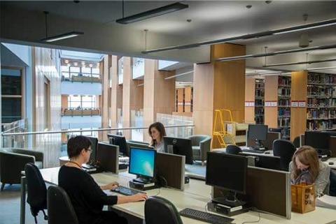 Students in a library setting