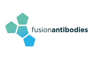 Fusion Antibodies
